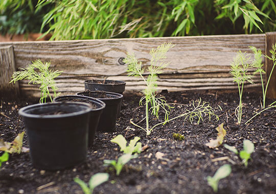 -recycling-plants