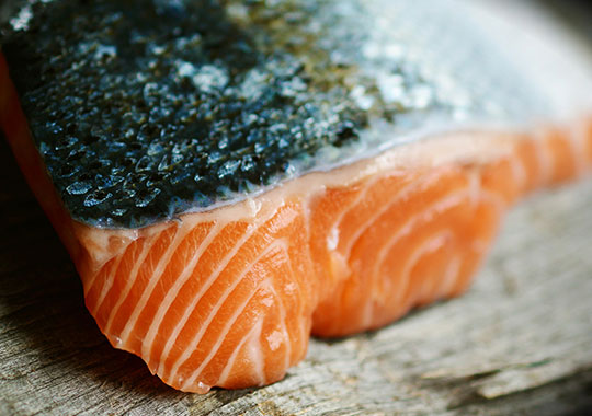 salmon-recycling